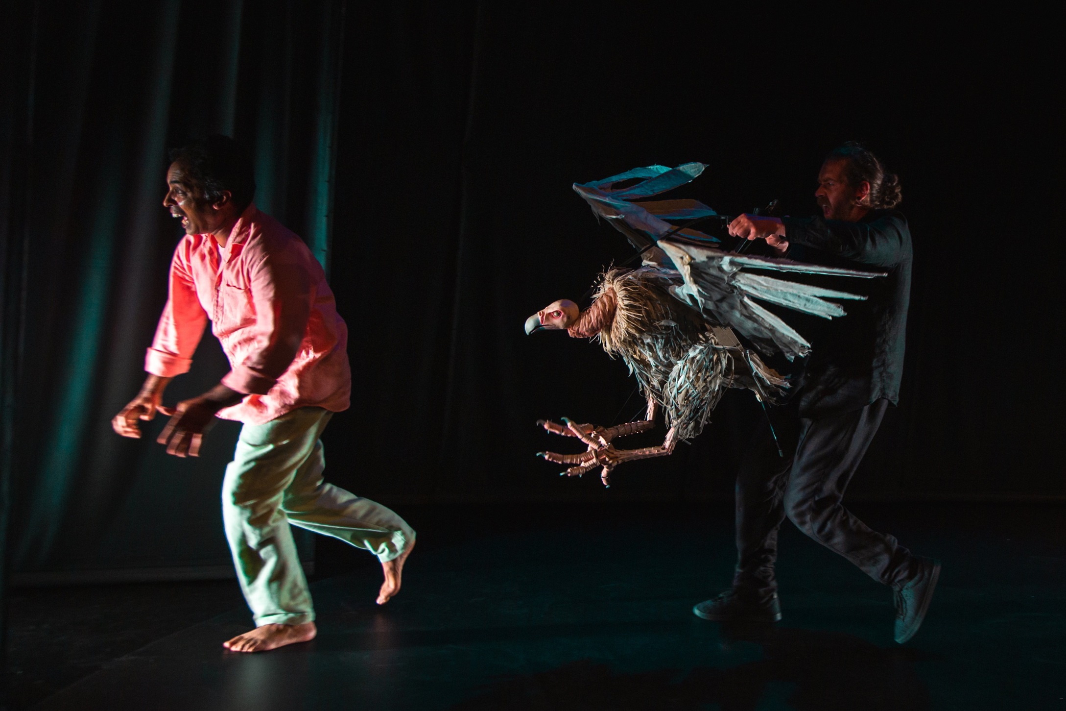 Jacob Rajan and the vulture operated by puppeteer Jon Coddington in Paradise or the Impermanence...
