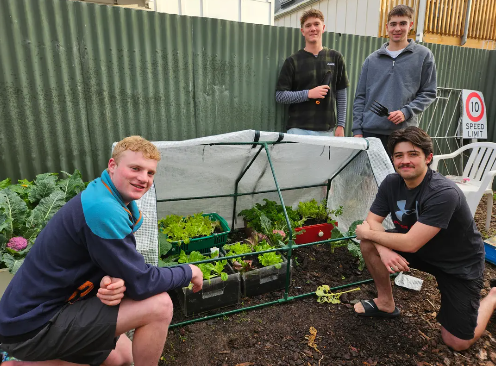 From left: Jake Corney, Cam Pooley, Angus Henry and Kieran Halforty. Photo: RNZ