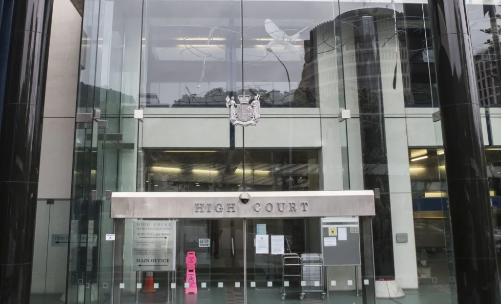 The woman was sentenced in the Wellington High Court. Photo: RNZ