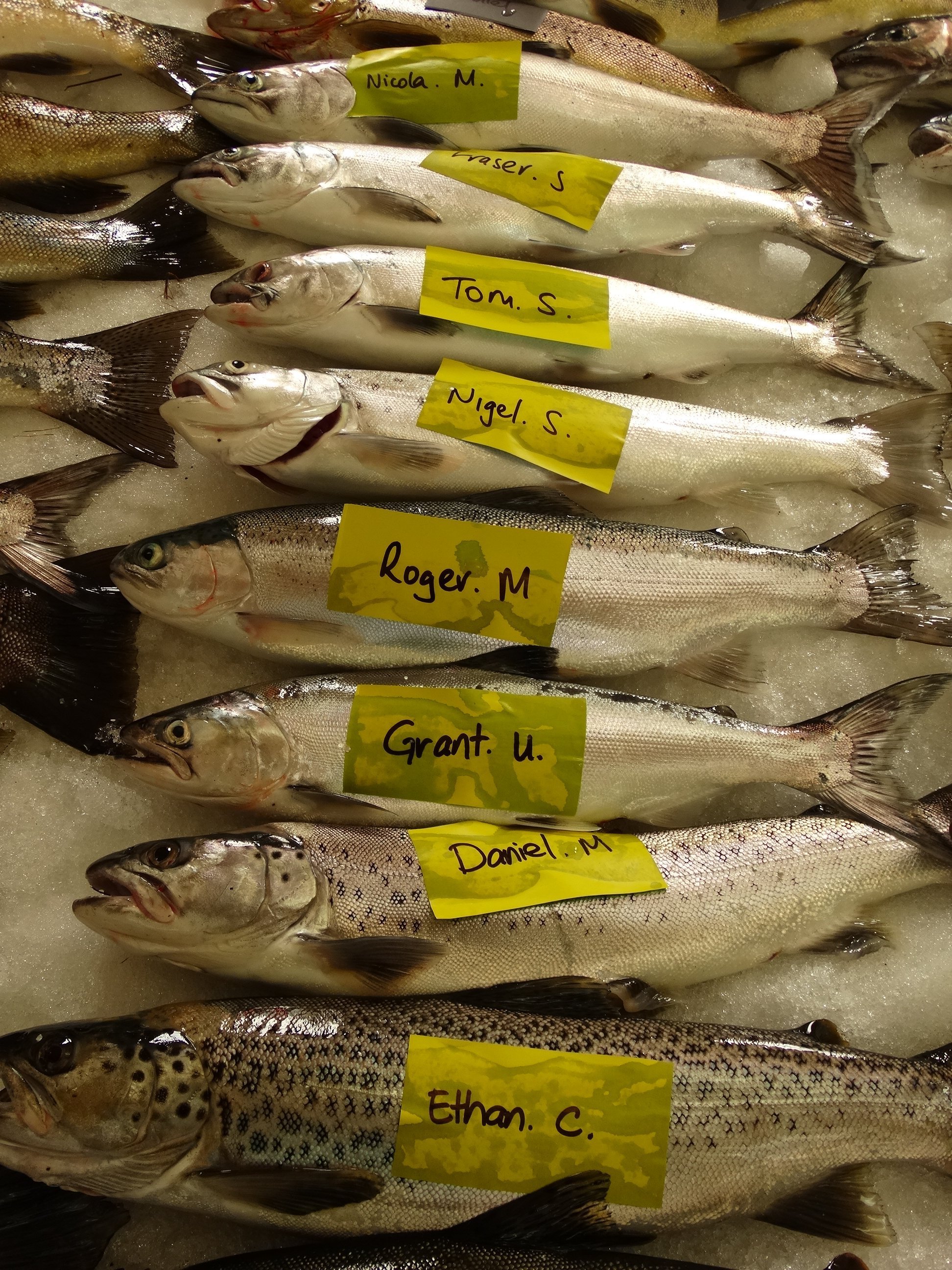 Anglers from across Otago and Southland are expected to enter next Saturday’s 44th annual...