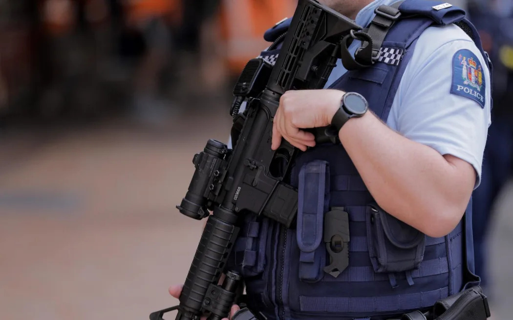File photo: RNZ/Angus Dreaver