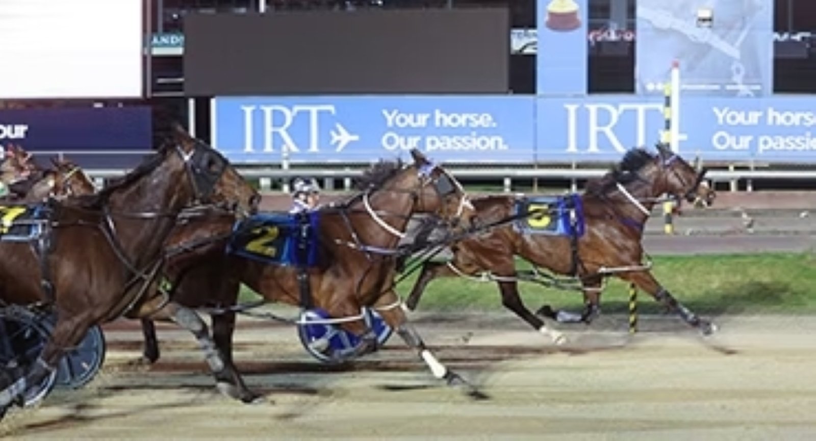 Alta Meteor wins the New Brighton Cup at Addington last Friday. Photo: HRNZ