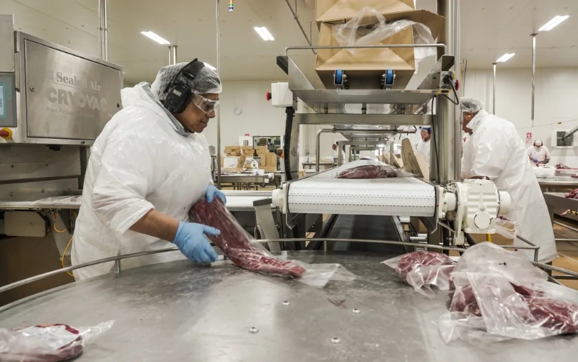 Meat processing at Alliance Group. Photo: Alliance