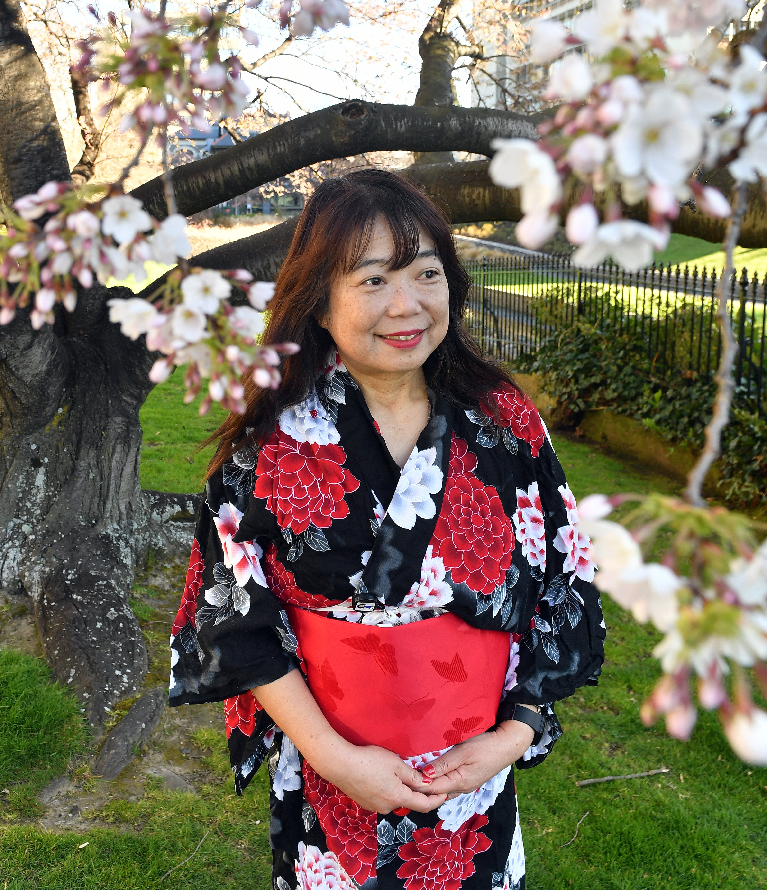 University of Otago Japanese language senior teaching fellow Haruko Stuart under the cherry...