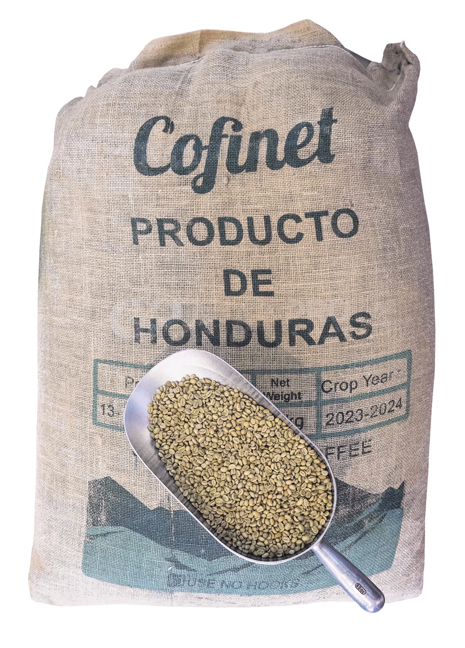 Green coffee beans from Honduras.