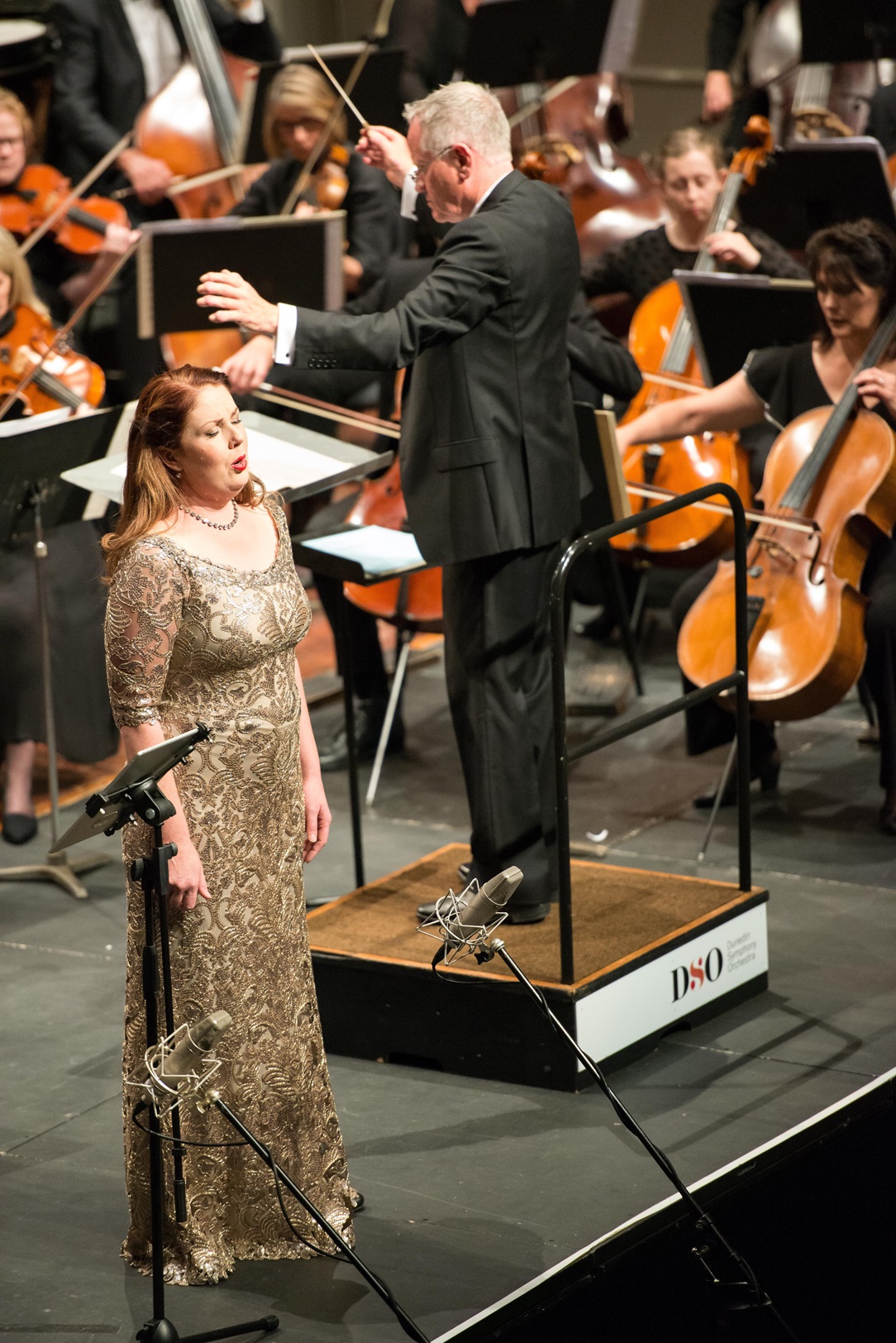 Formerly Dunedin-based opera singer Anna Leese performs with the Dunedin Symphony Orchestra and...