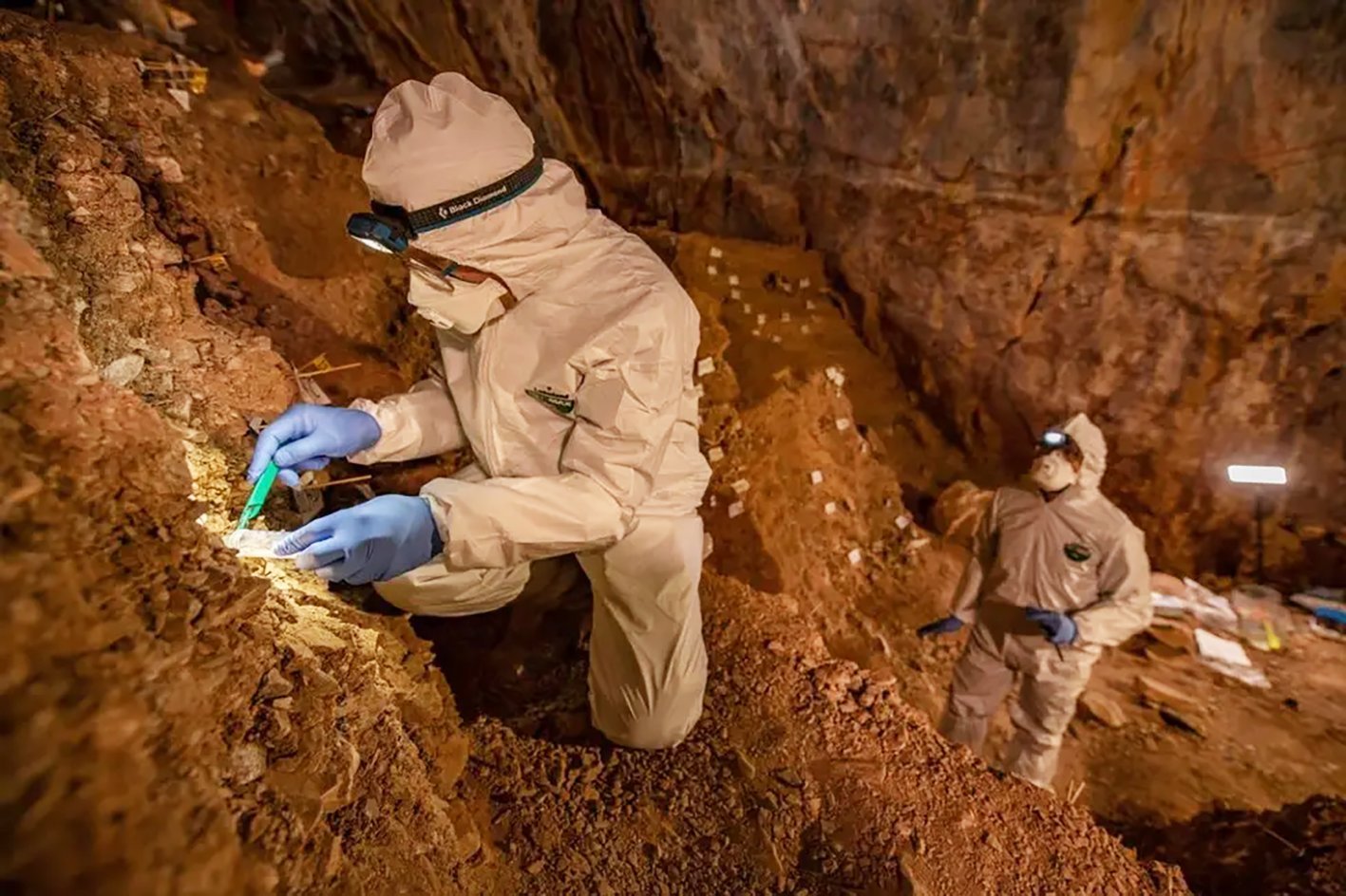 Scientist sampling for ancient DNA at Chiquihuite Cave in Mexico. Photo: supplied