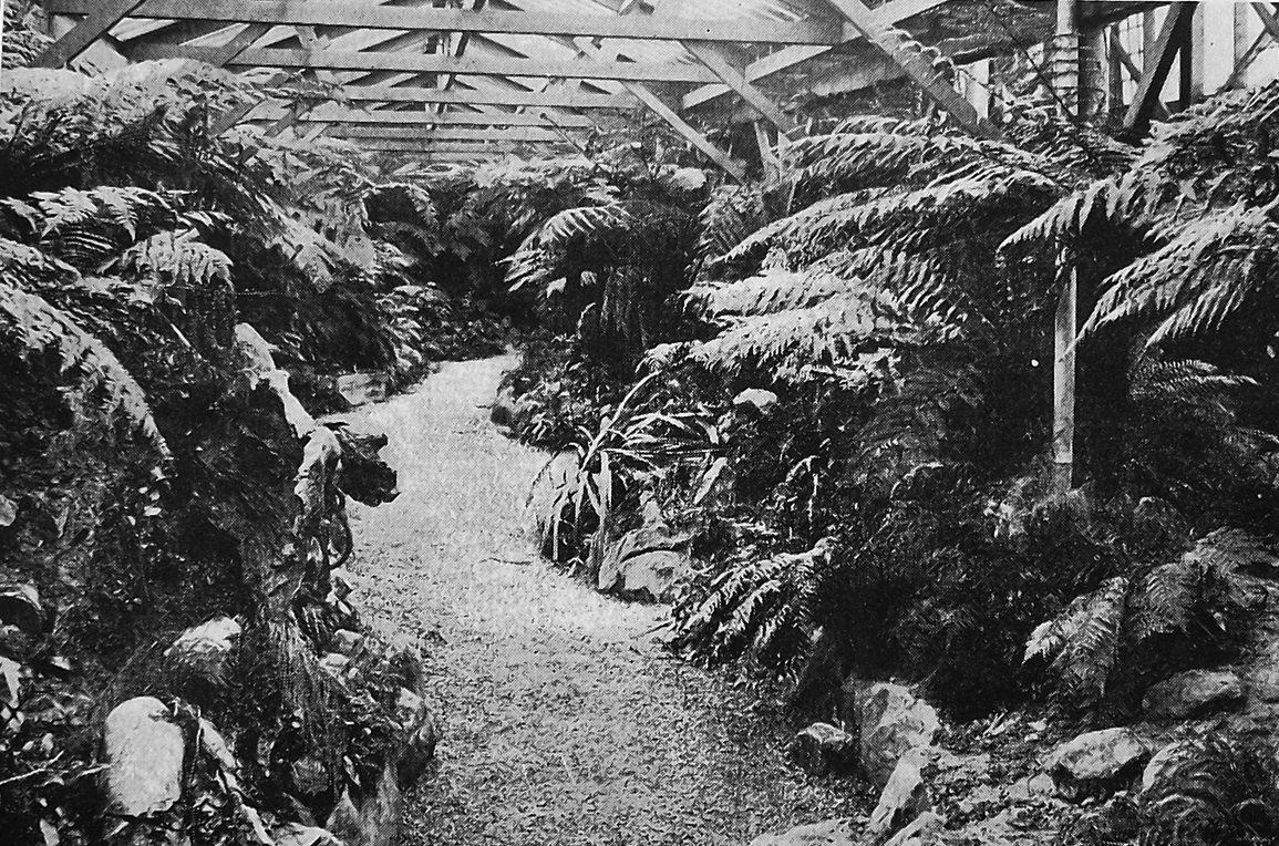 The Exhibition fernery at Logan Park, Dunedin nears completion. — Otago Witness, 11.8.1925 