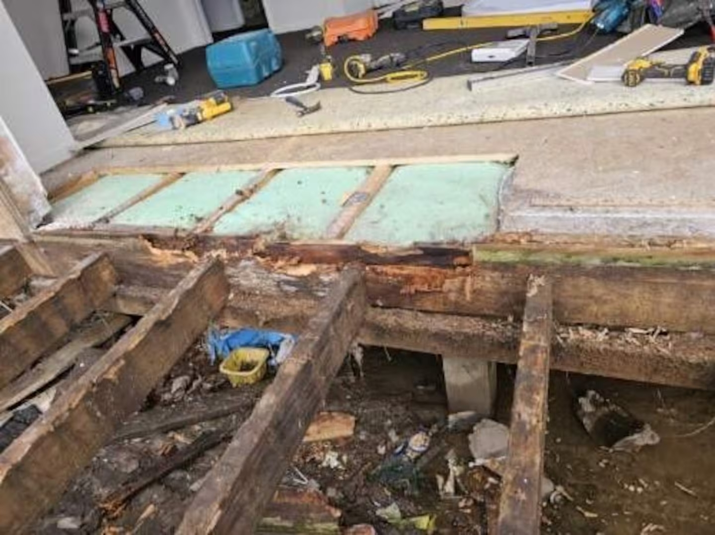 Landlord Fiona McLaren has been left in a perilous financial situation after a tenant left owing ...