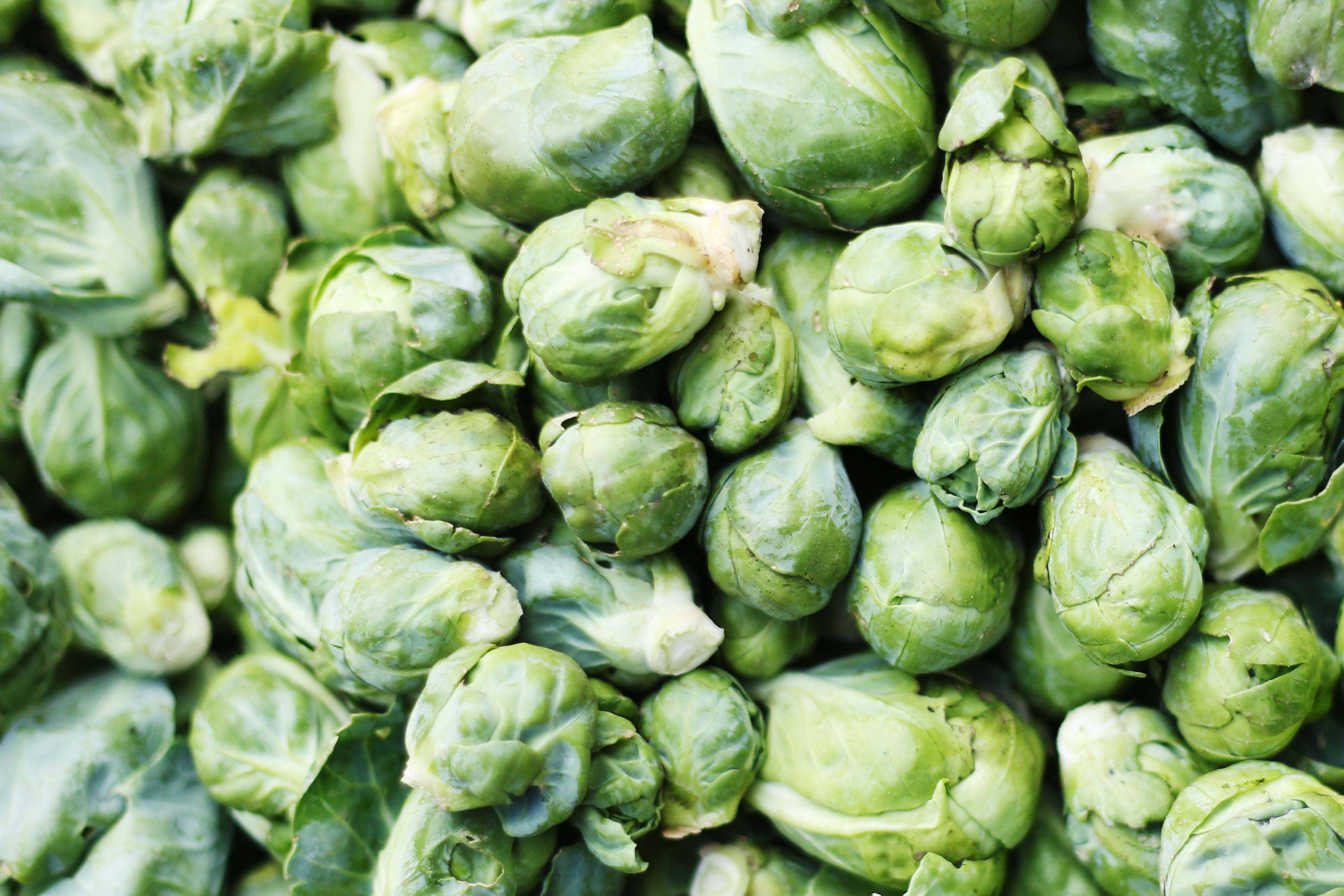 Brussel Sprouts. PHOTO: GETTY IMAGES