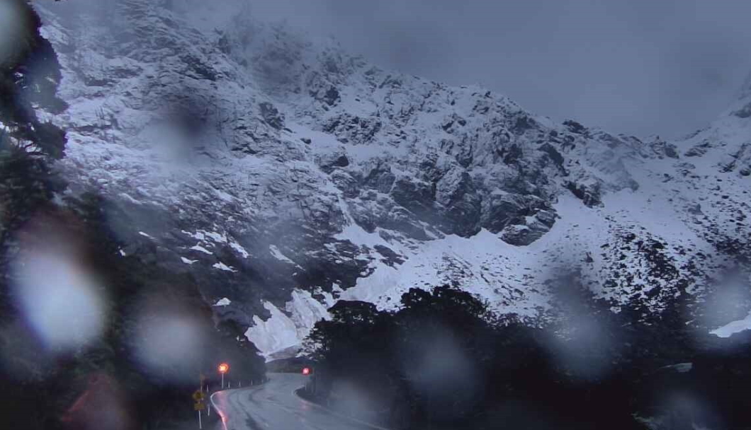 The Milford Road at Chapel this morning. PHOTO: MILFORD ROAD ALLIANCE