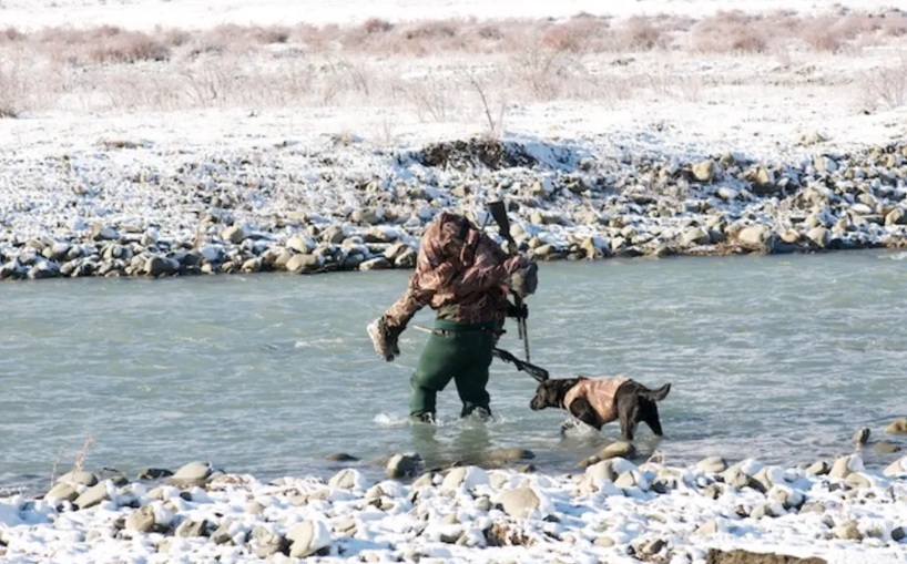 A father carries his son over a river as part of the Molesworth Goose Hunt. Photo: Supplied