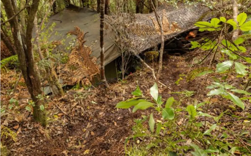 One of the campsites where Tom Phillips and his children lived in the bush. Photo: NZ Police