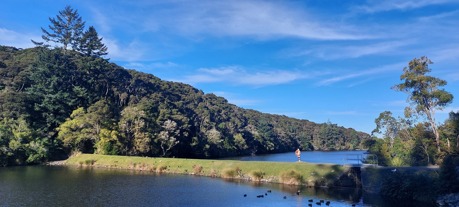 A grassy walkway at Ross Creek Reserve. Photos: Clare Fraser