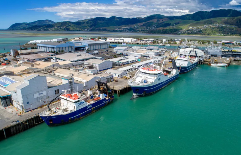 Sealord's Nelson site. Photo: Sealord via RNZ