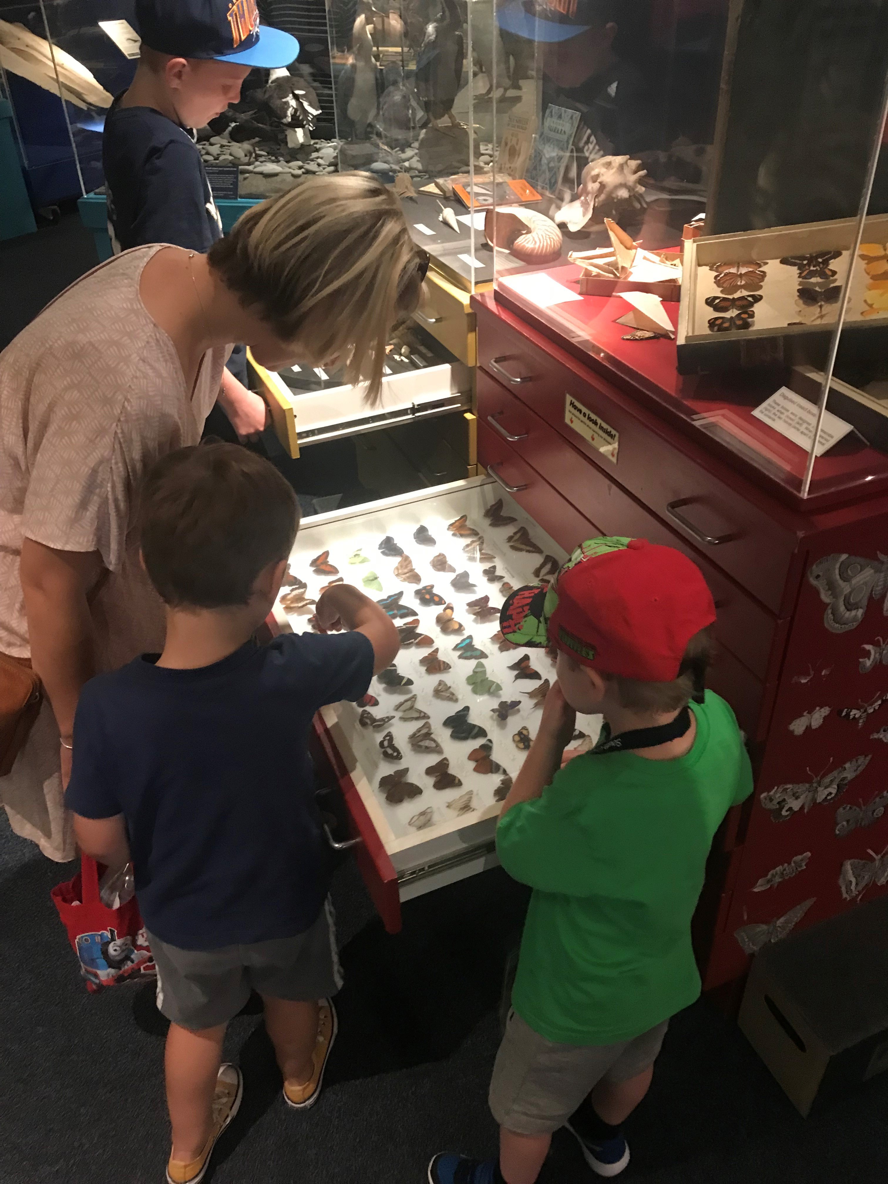 Visitors check out what is in the Sealy drawers at the South Canterbury Museum. PHOTOS: SUPPLIED
