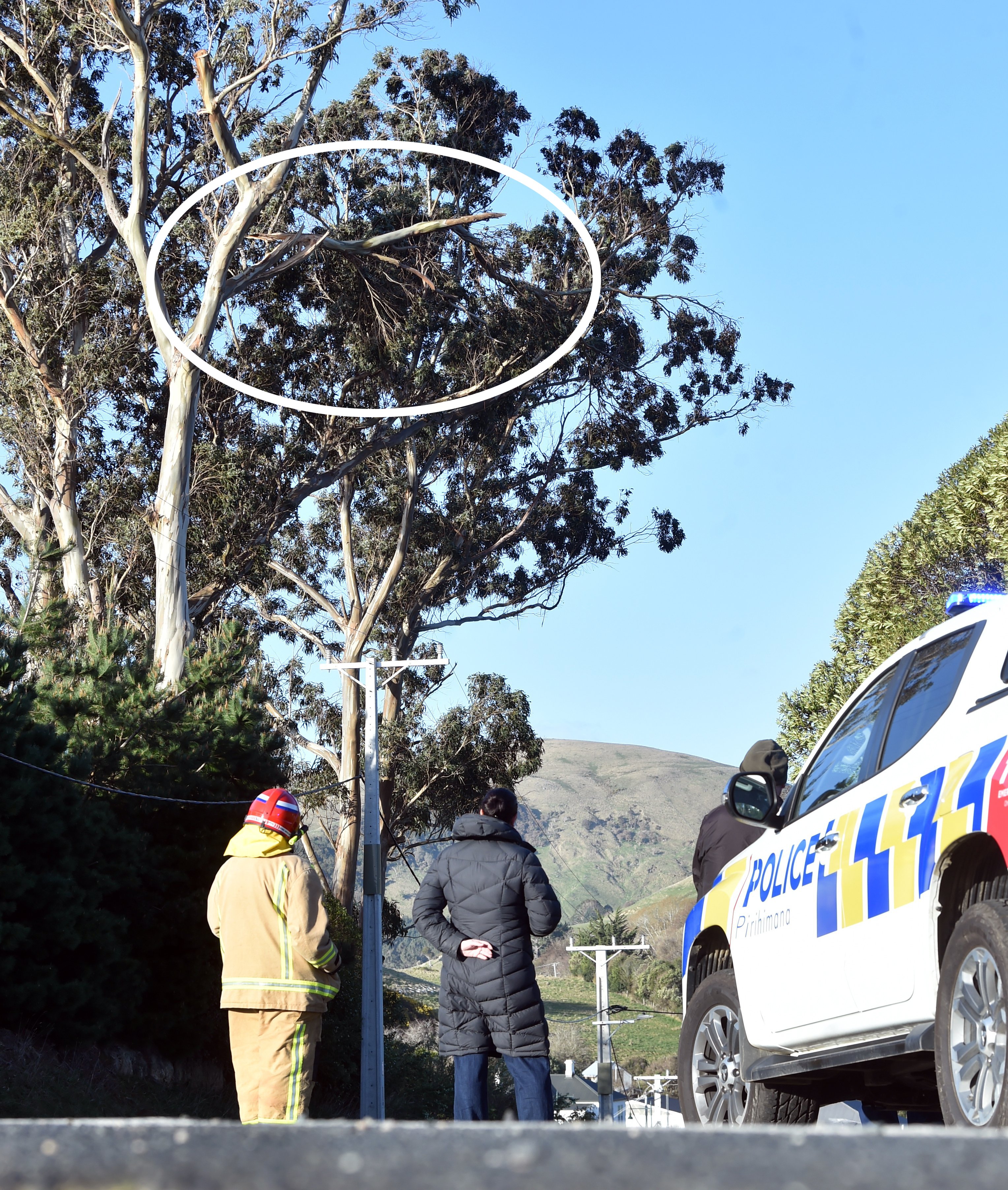 PHOTO: PETER MCINTOSH