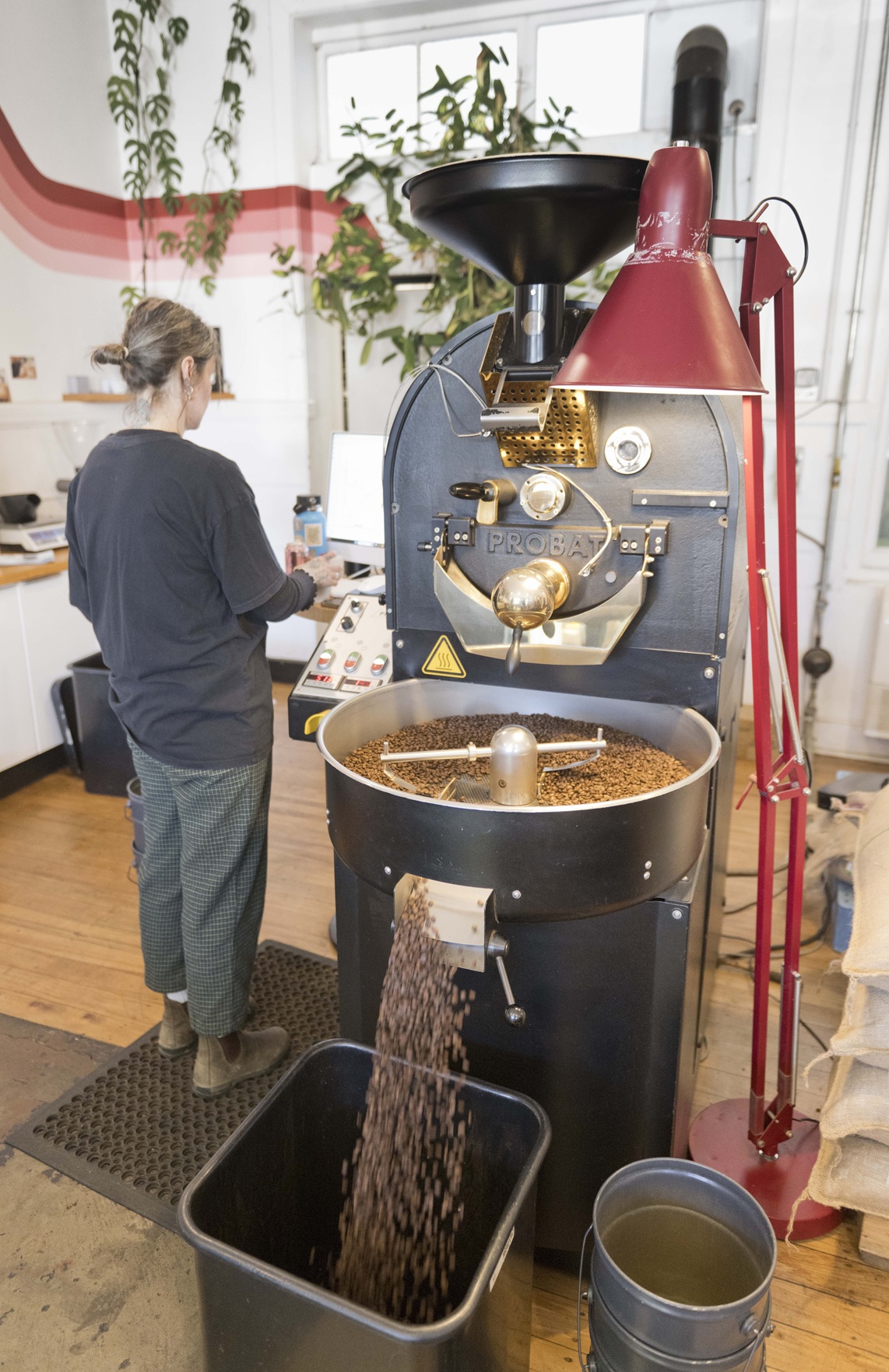 Kylie Norton roasts beans in the Probat roaster.