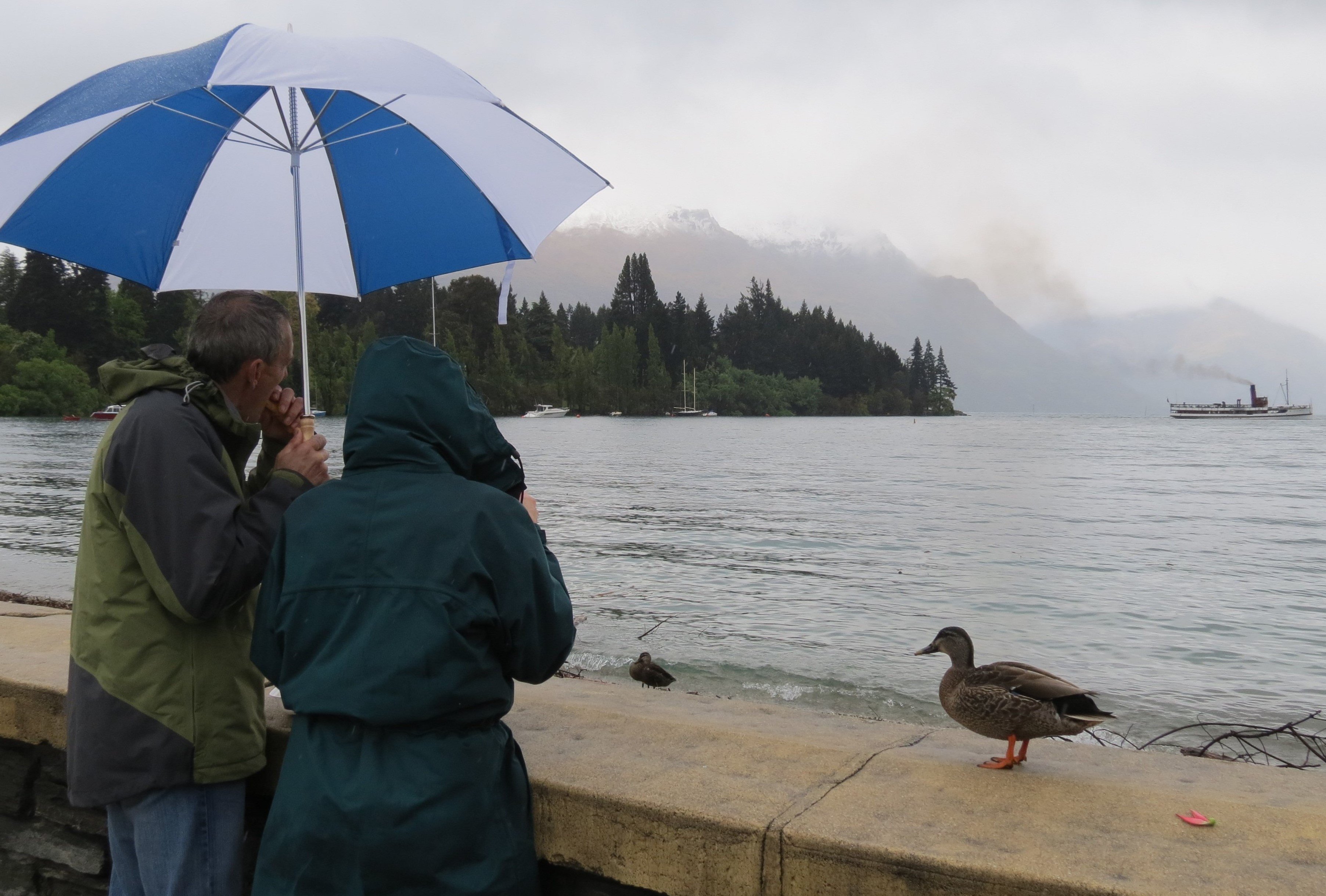 Good month for ducks: Queenstown’s just experienced the second-wettest September in almost 60...