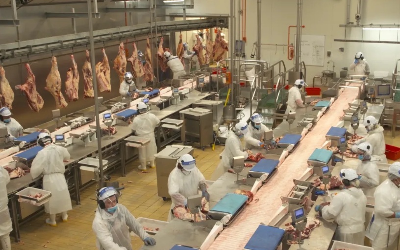 Alliance Group meatworks in Southland. Photo: RNZ