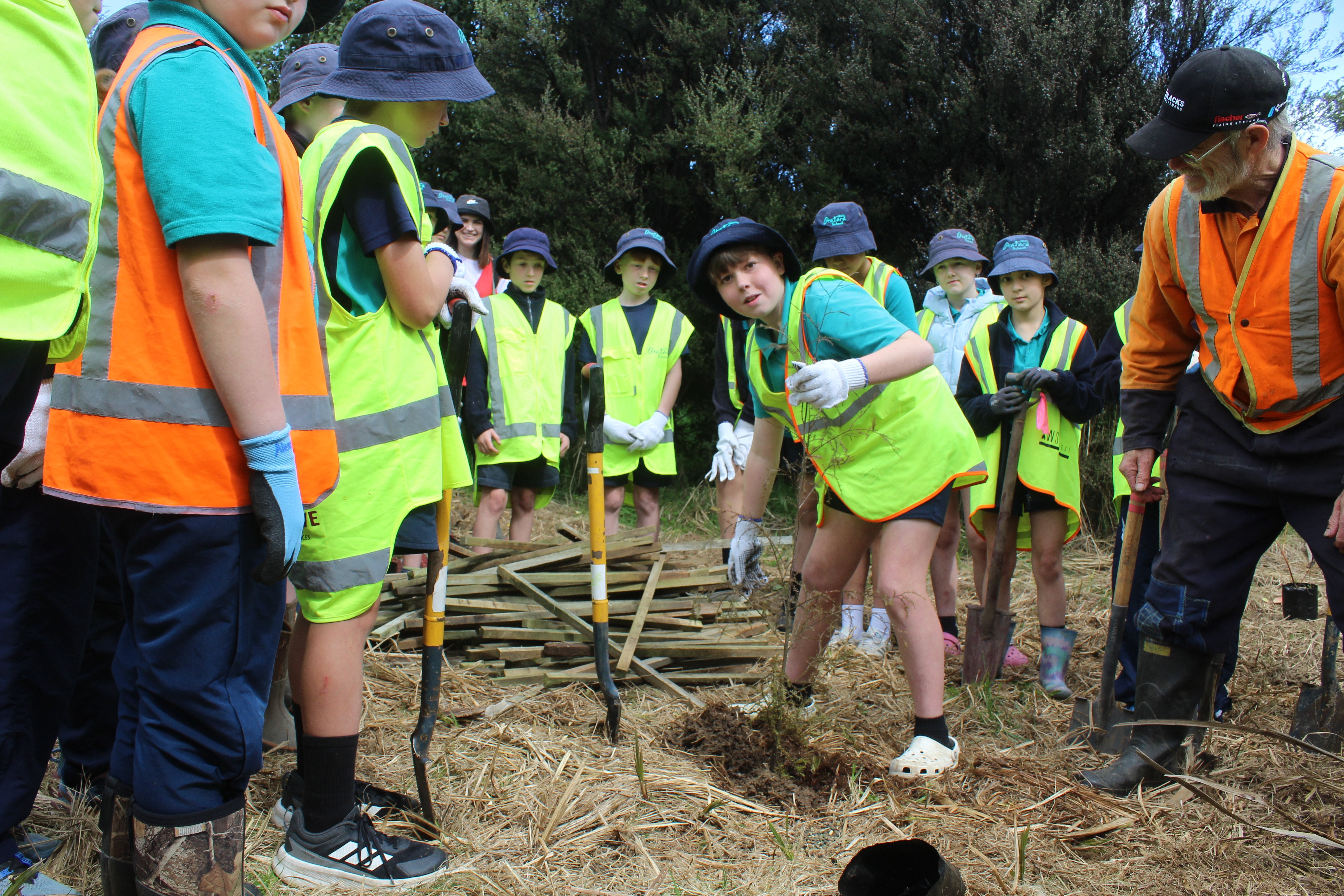 Under the watchful eye of Otatara Landcare Group member Barry Smith, Otatara School birthday boy...
