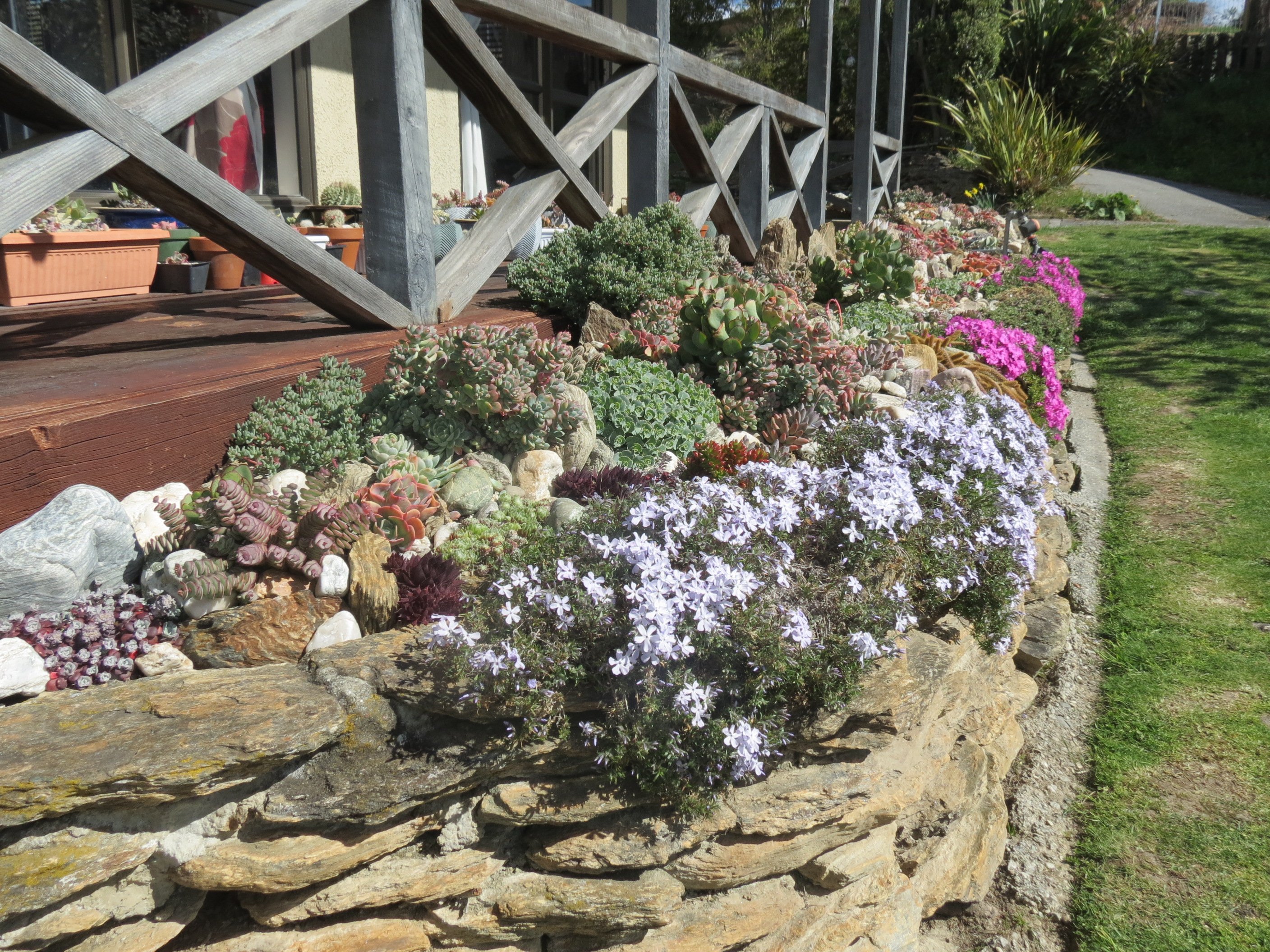 The garden of Phanie and Alan Thomas of Alexandra, featuring succulents and cacti was one of the...