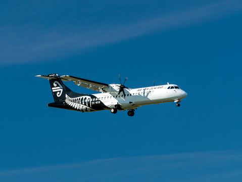 A man and a woman have landed in court after an overt display of affection on an Air NZ flight....