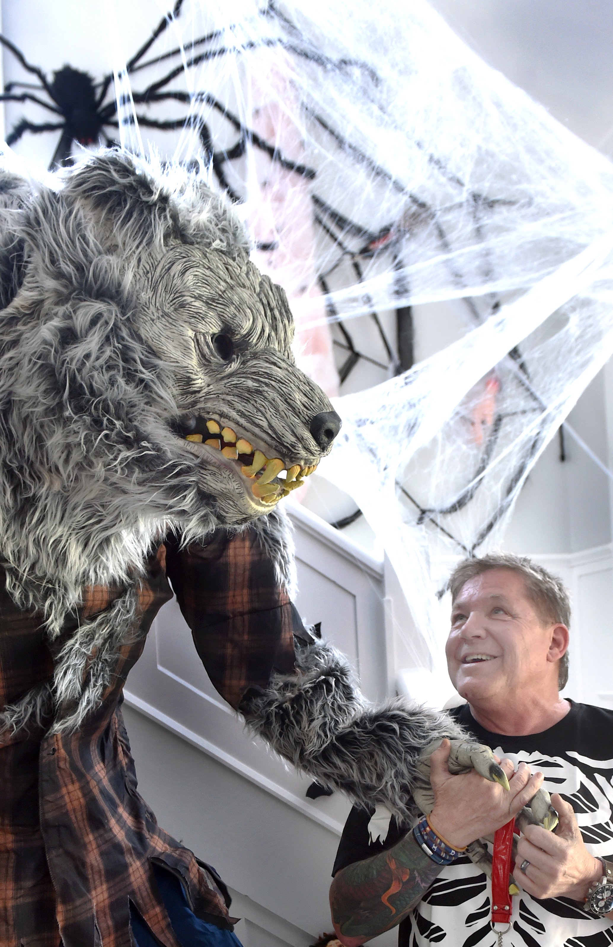 Chris Sperandio shakes hands with his werewolf as he gets his St Clair home ready for Halloween...