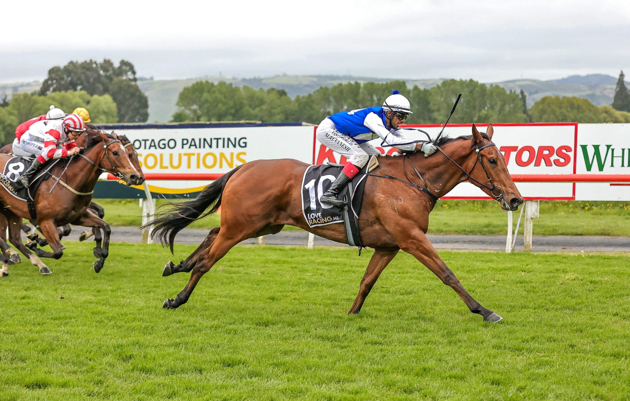 Loose Sally will resume at Ashburton tomorrow. PHOTO: MONICA TORETTO