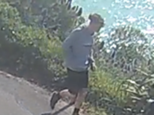 Marley was last seen on Whitewash Head Rd on Friday. Photo: Police
