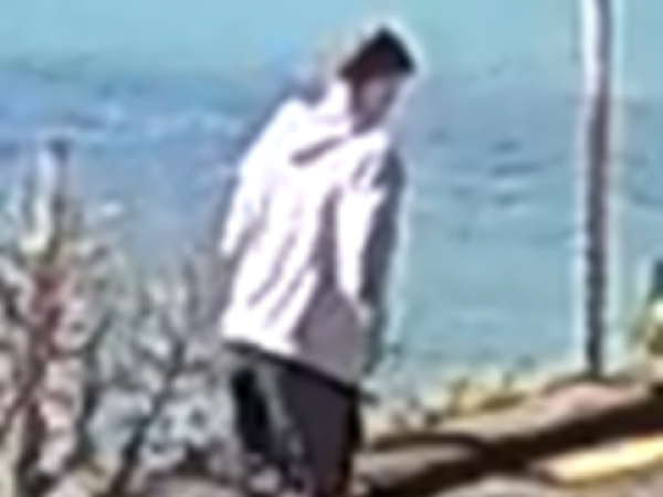 Marley was wearing a light grey Adidas hoodie with white and black lettering, black shorts, black...