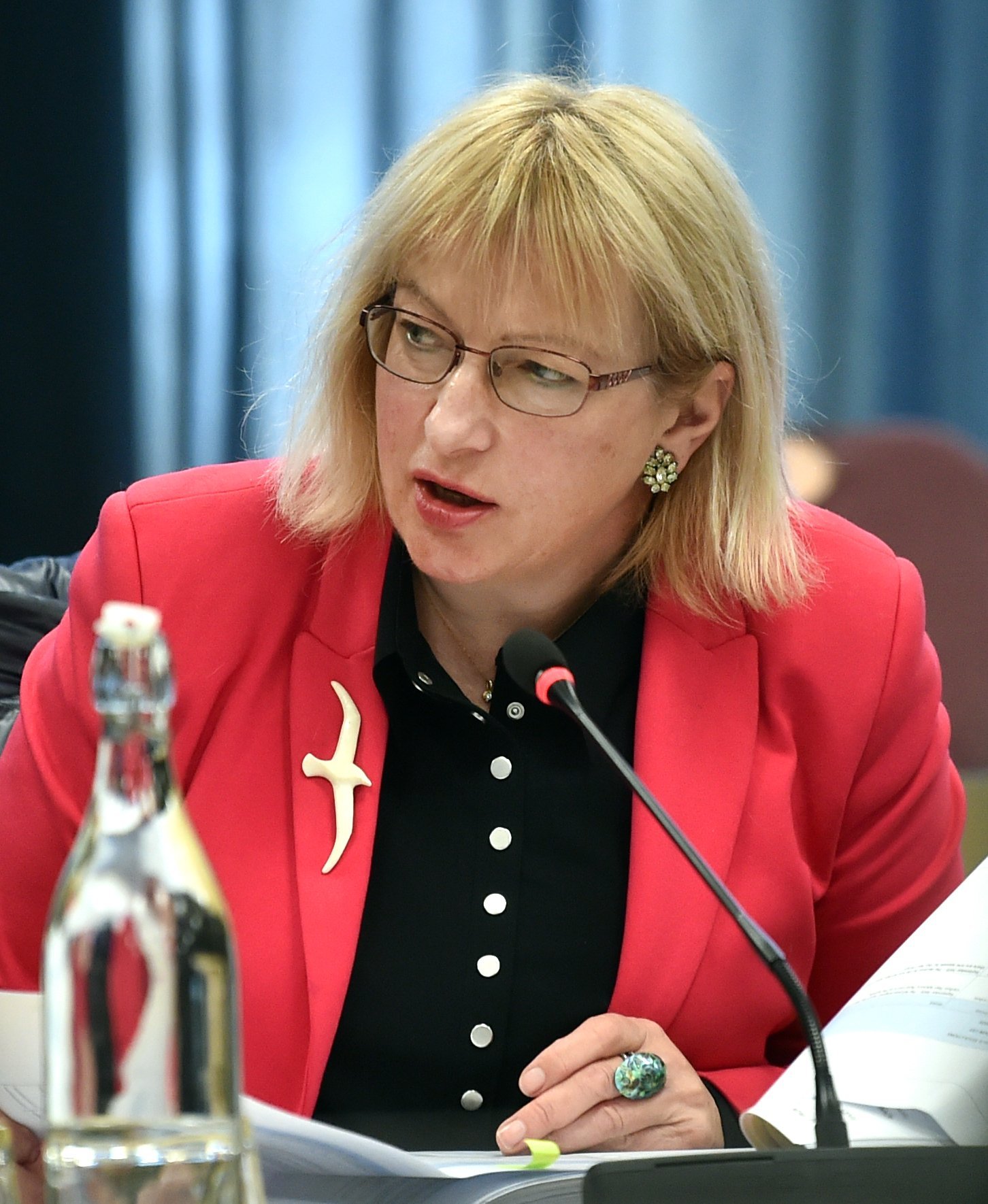 Ms Barker speaks during a debate at the Dunedin City Council last month about the Albany St...