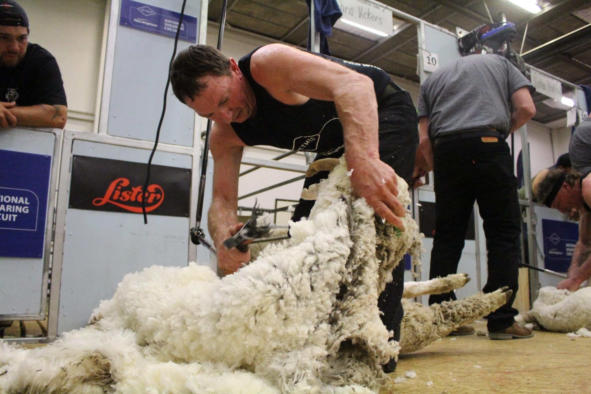 Action from the open shearing final at the 2024 competition in Alexandra. PHOTO: ROBYNE MURRAY
