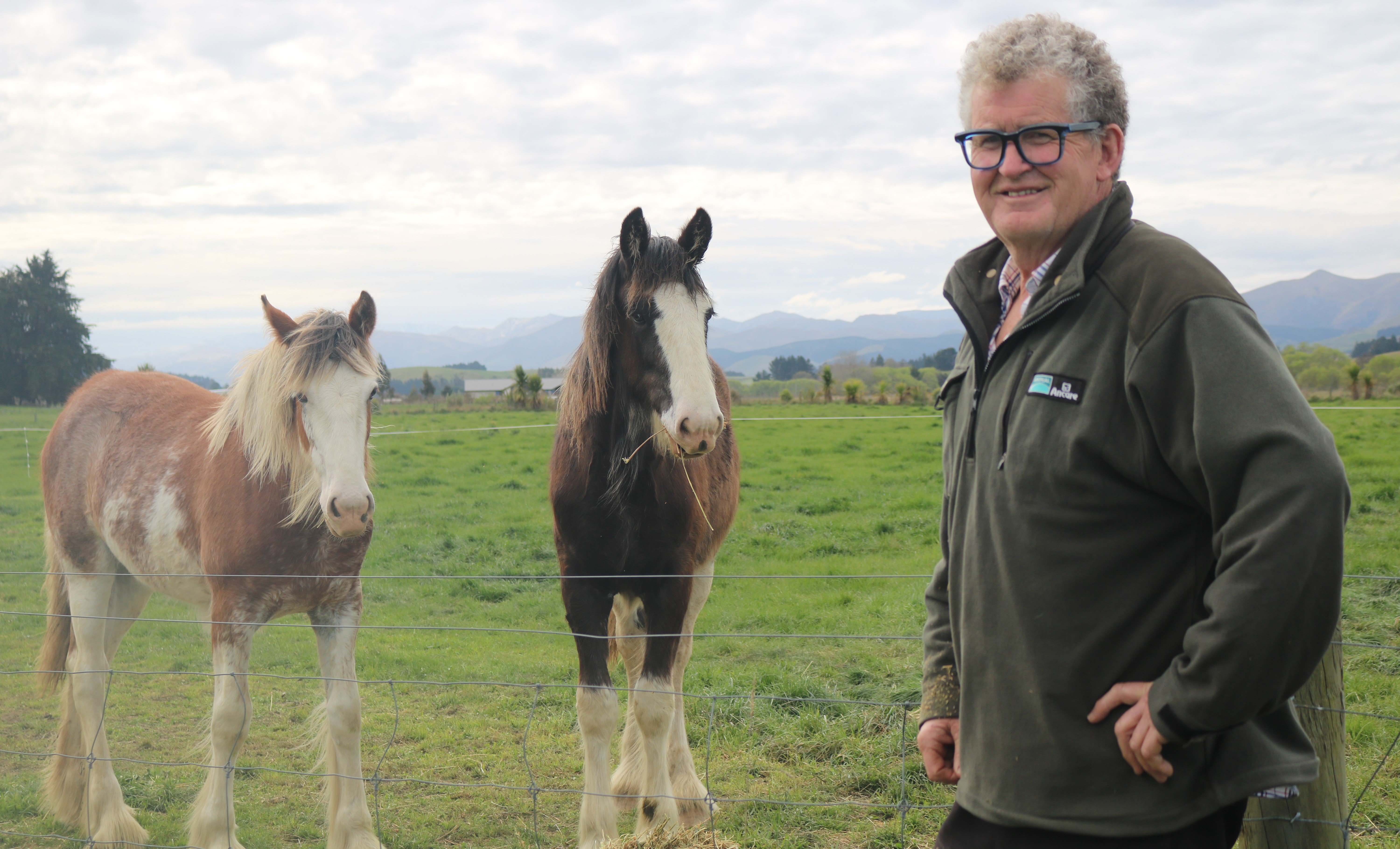 Outgoing Waihemo ward councillor Jim Thomson on his farm between Palmerston and Dunback. PHOTO:...