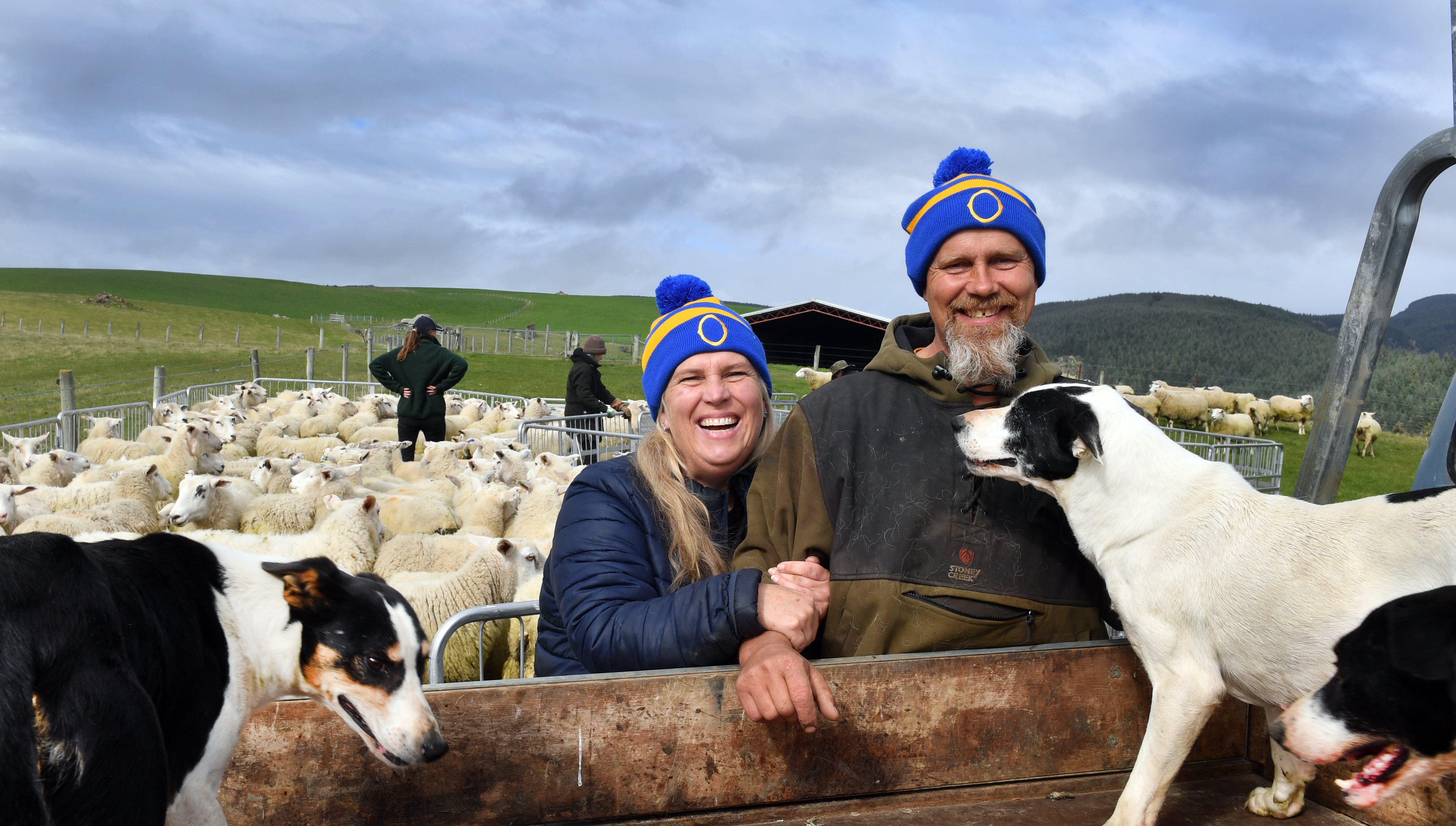 Proud parents Traci and Paul Paton, tailing this week on their Pigroot farm, will come to Dunedin...