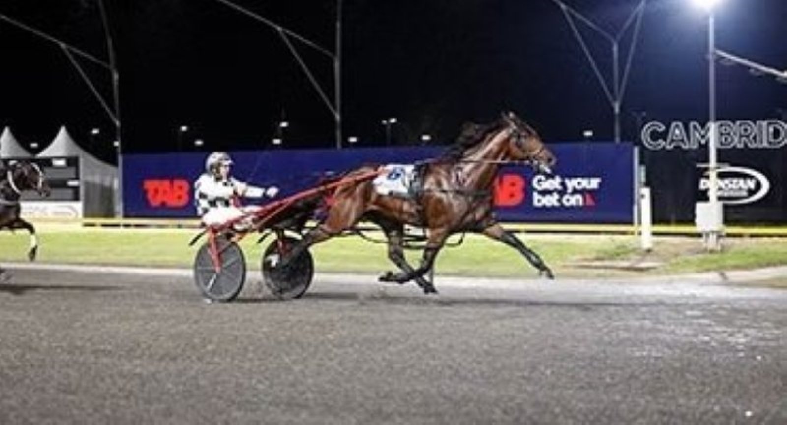 Leap To Fame will need to produce his best form for trainer-driver Grant Dixon at Melton tonight....