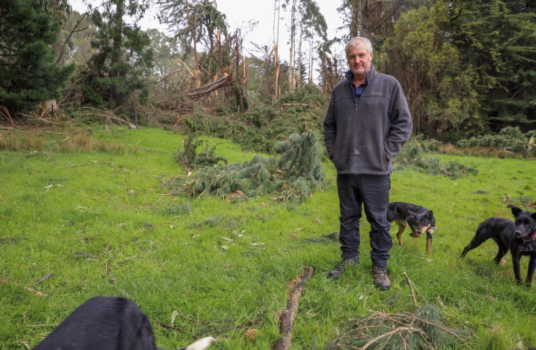 Richard Hunter stands in front of one of many areas of broken and fallen trees on his property....