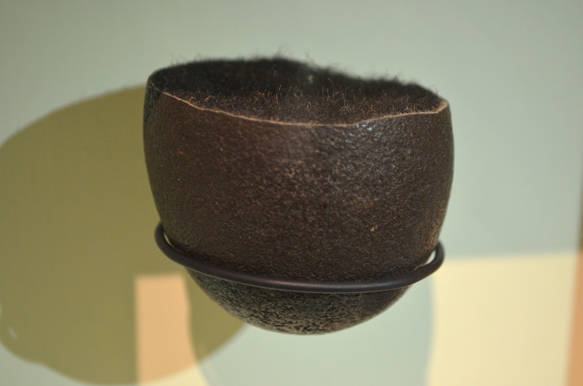 A trichobezoar on display in the stairwell of Tūhura Otago Museum’s Animal Attic that was...