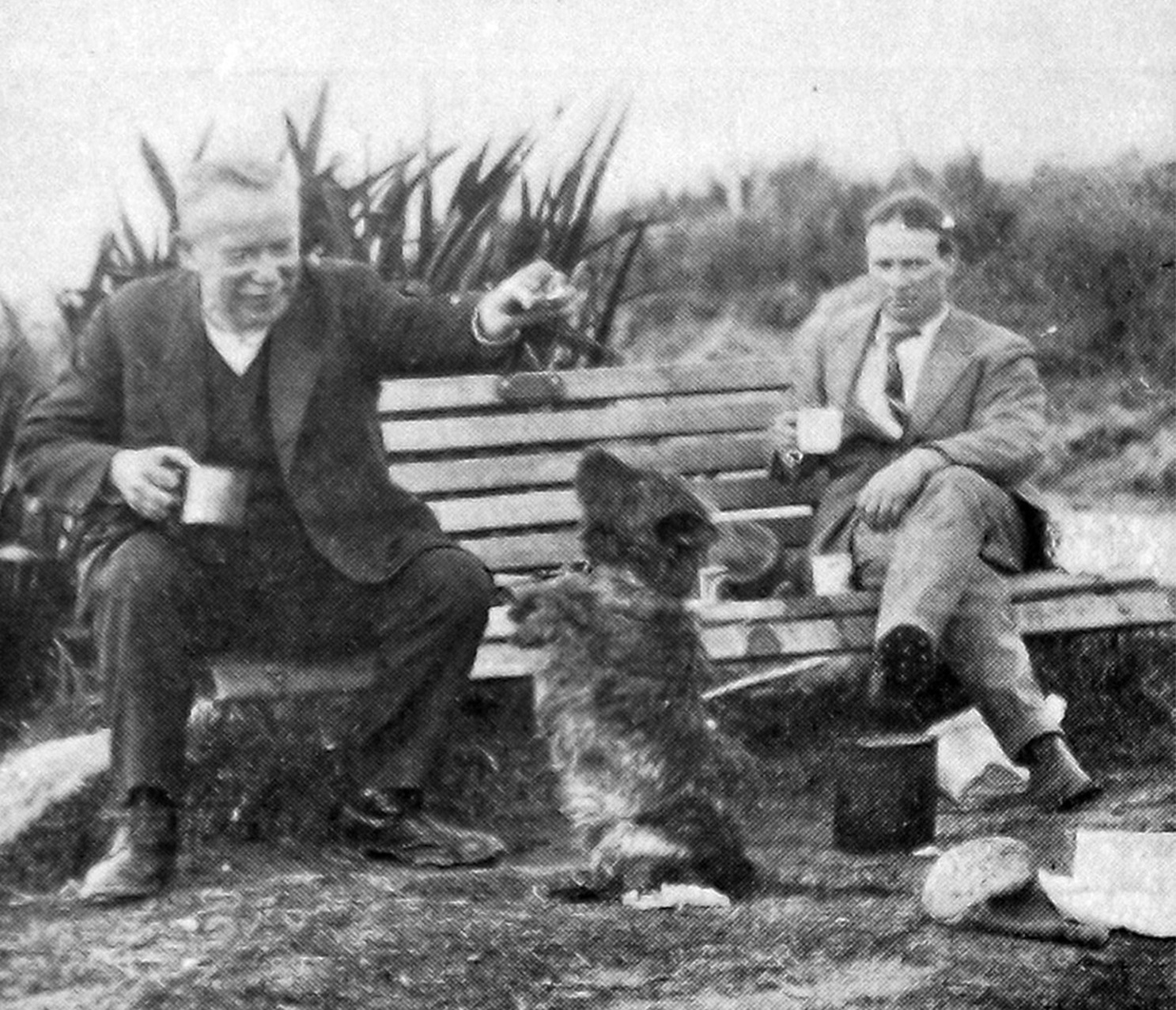 Scottie, a favourite dog on the hills around Dunedin. — Otago Witness, 2.6.1925 