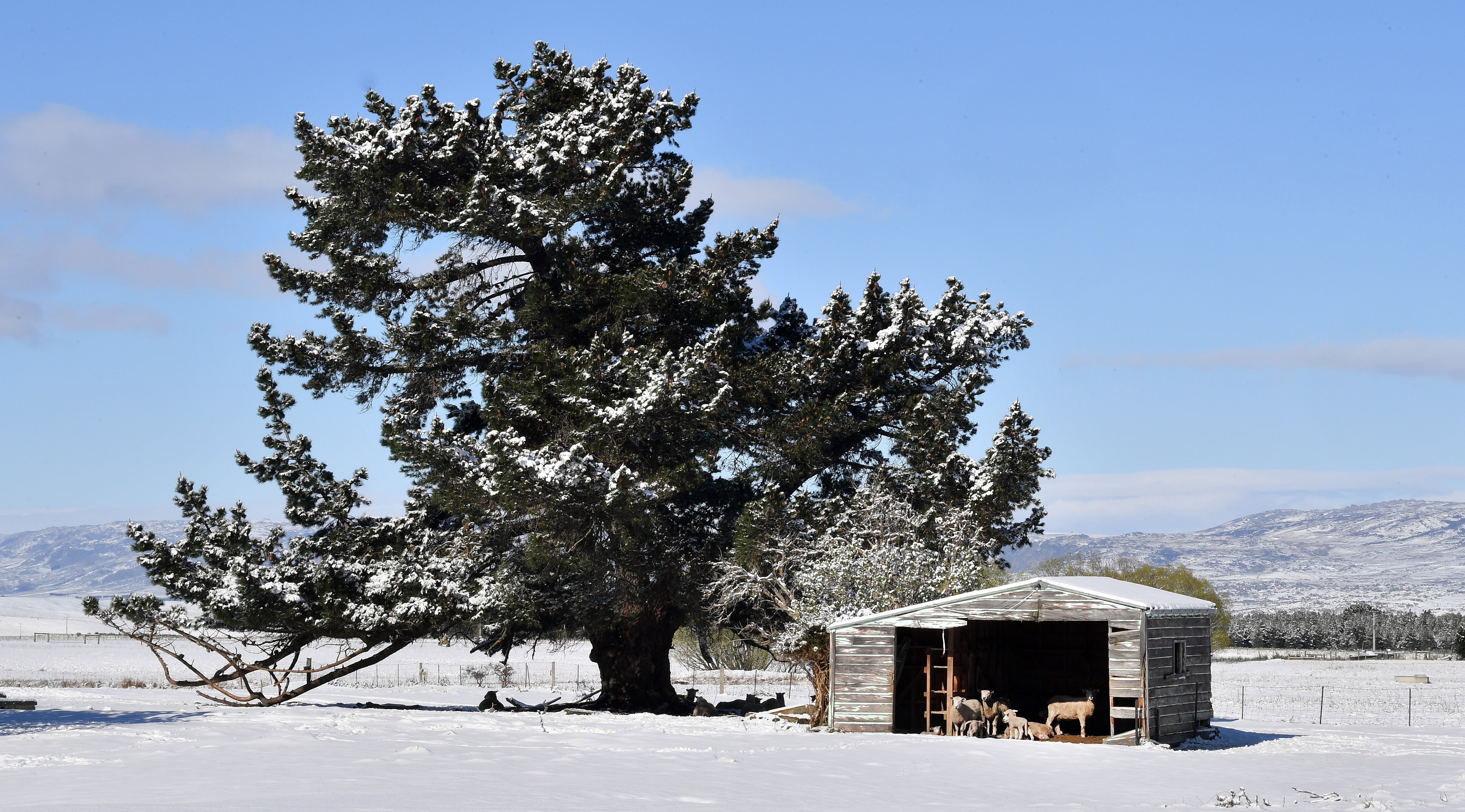 A picture-perfect snow day. PHOTO: STEPHEN JAQUIERY