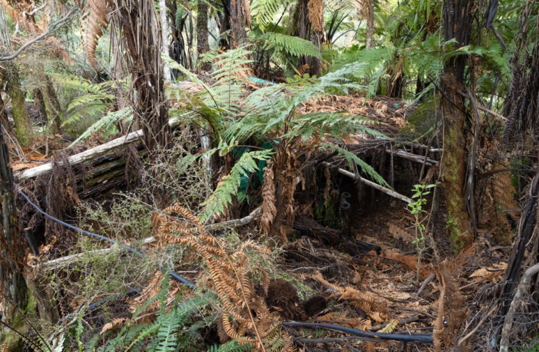 The sites included partially buried, semi-permanent structures concealed by large amounts of...