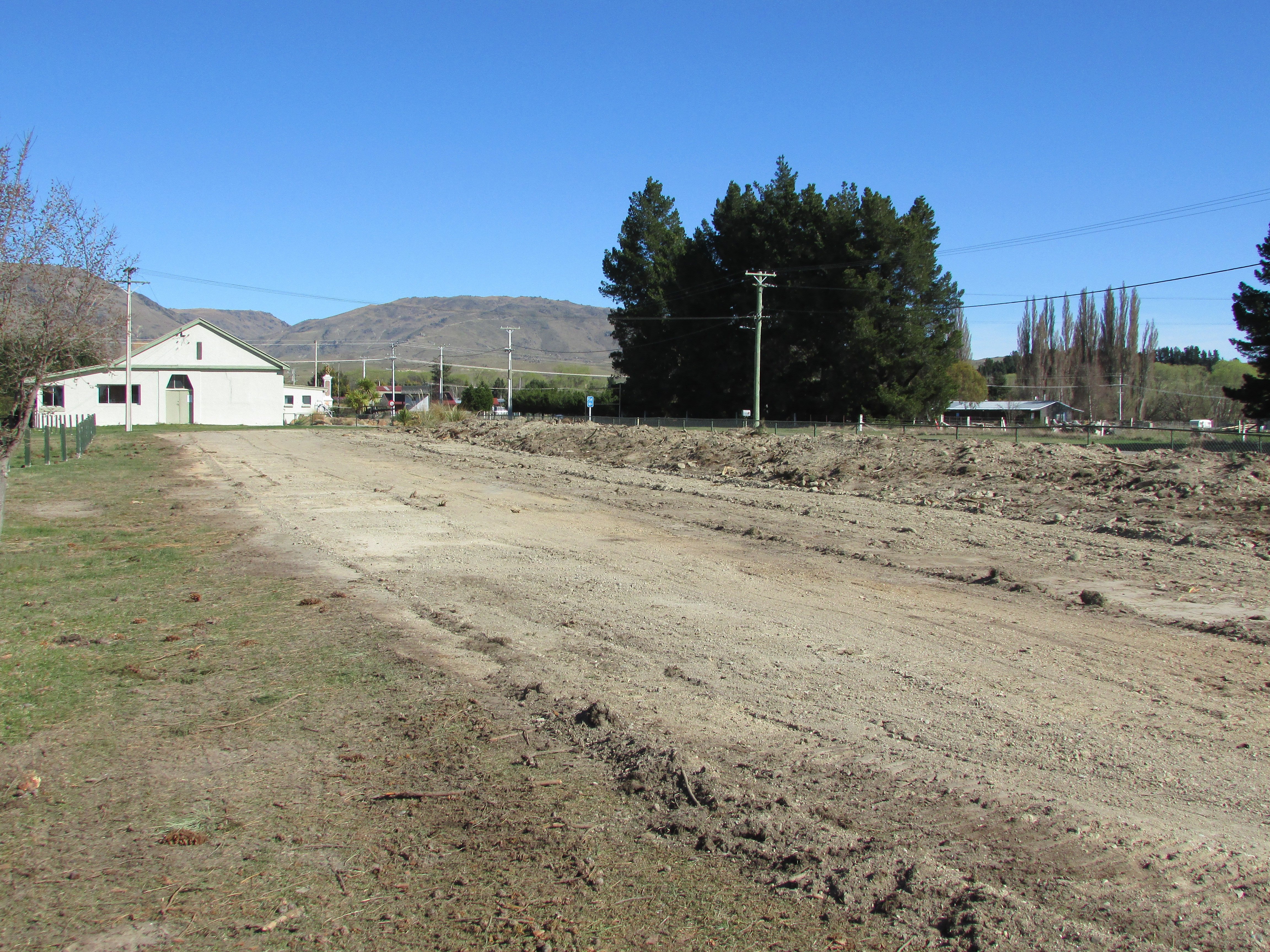 The Patearoa trees — gone.