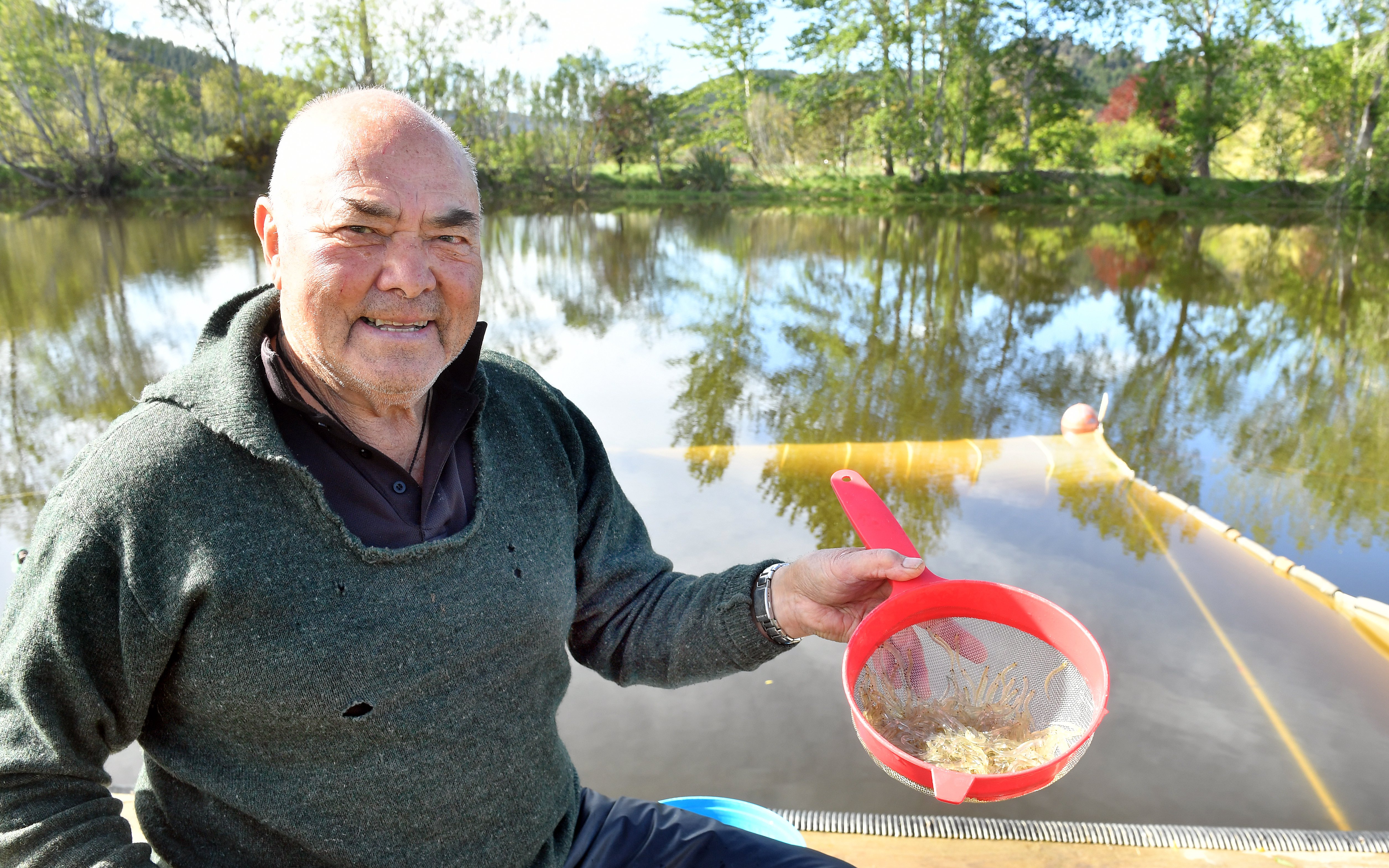 Neri Wall with some of the whitebait he caught on the Taieri River yesterday. PHOTO: STEPHEN...