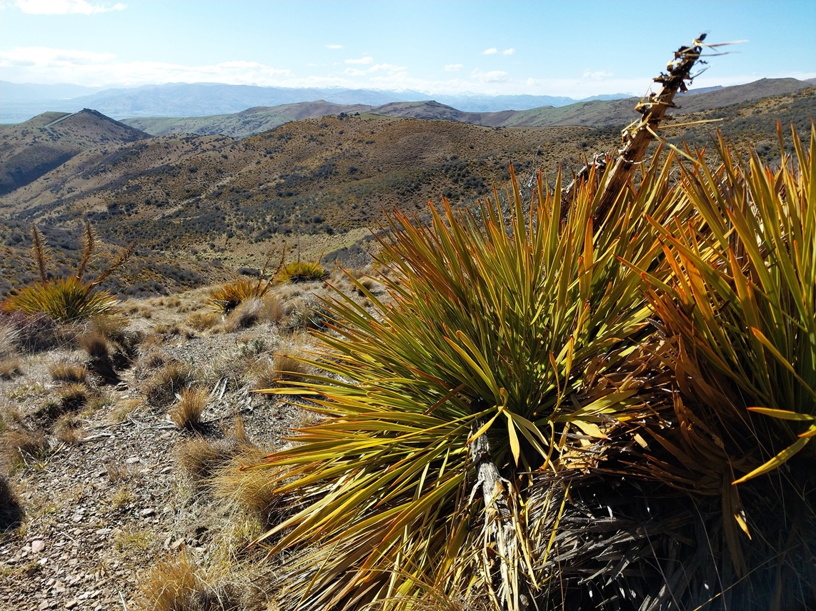 View looking west from the Dunstan Mountains ridgeline of the area Santana wants to mine. Photo:...