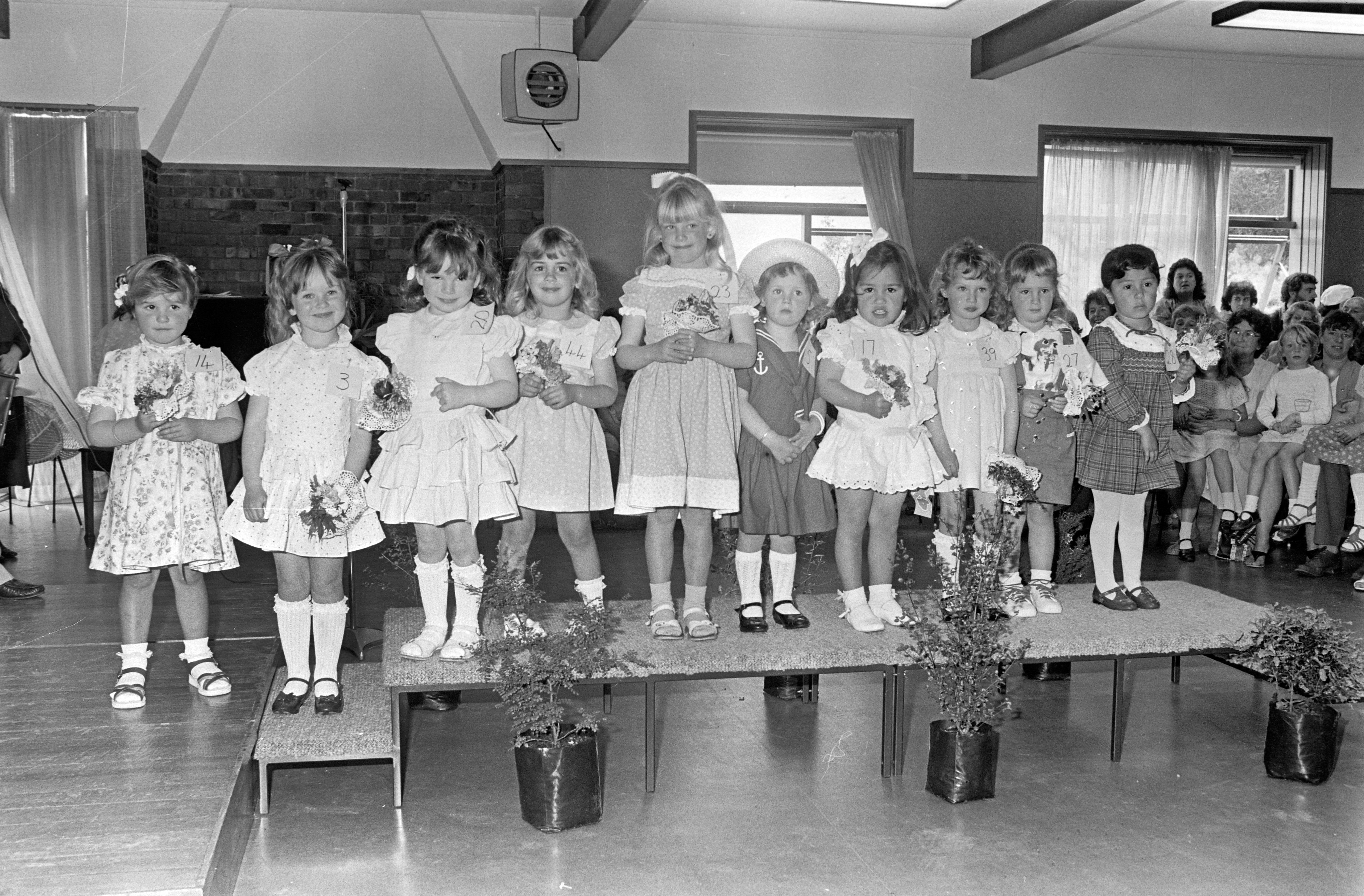 PHOTO: OTAGO DAILY TIMES