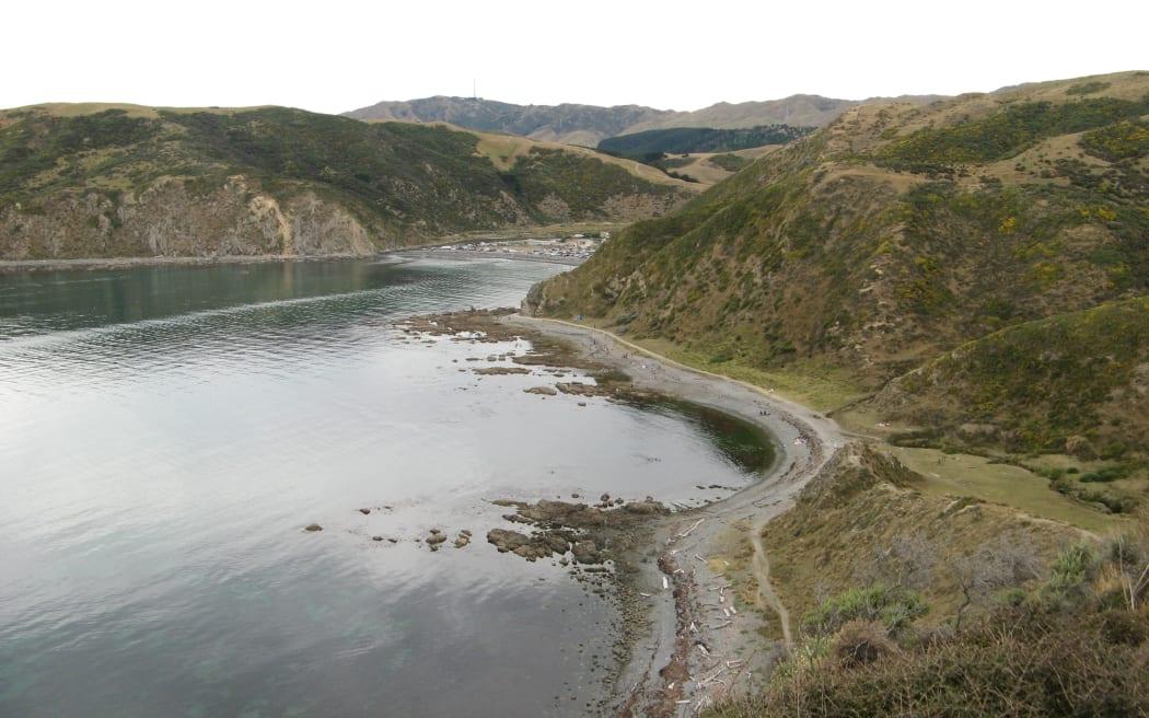 The helicopter went down near Mākara Beach about 8am today. File photo