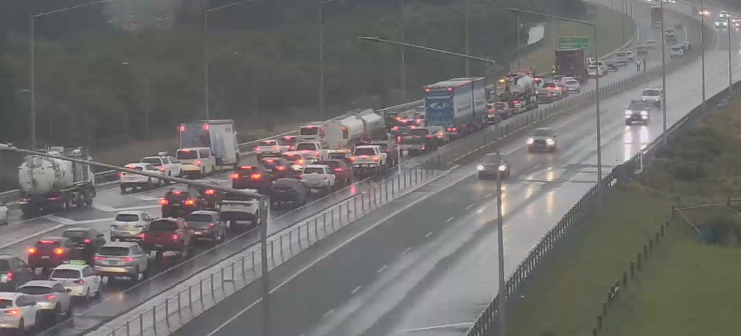 The crash scene on SH76 earlier this morning. Photo: NZ Transport Agency Waka Kotahi