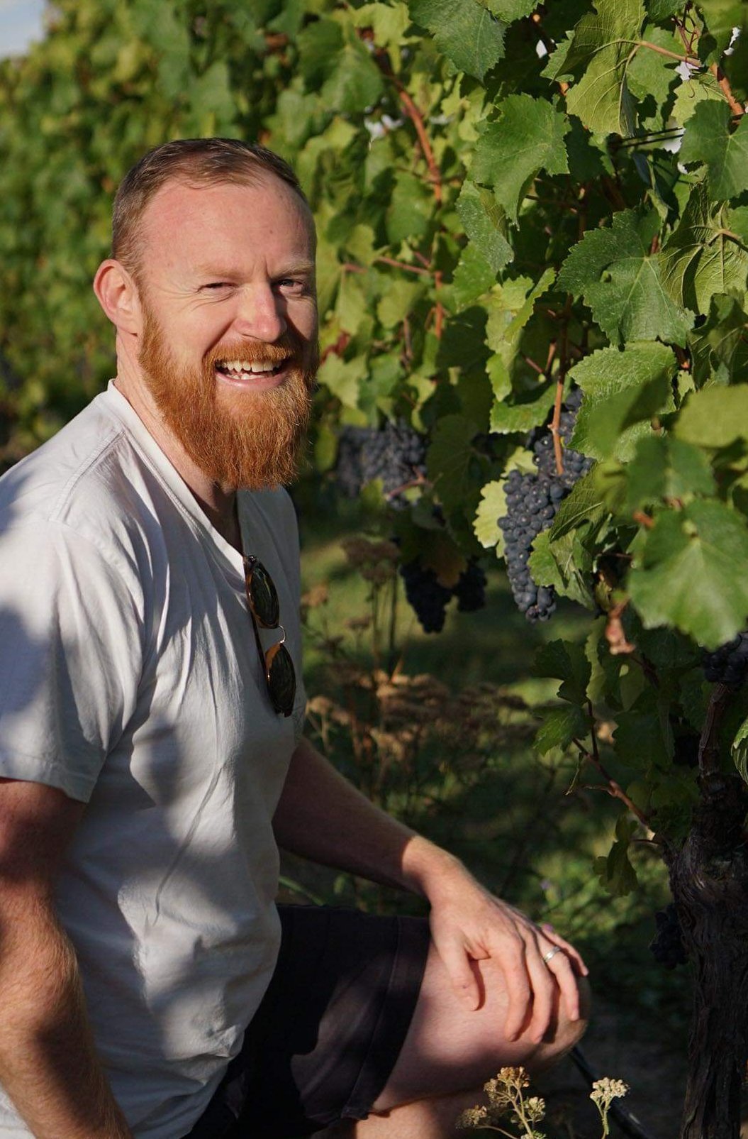 Leen runs the Alpine Wine brand in Wānaka with his brother, but is also a winemaker for Amisfield.
