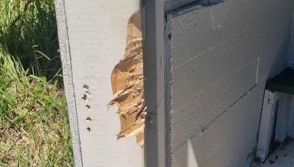 The man damaged the bus stop. Photo: RNZ