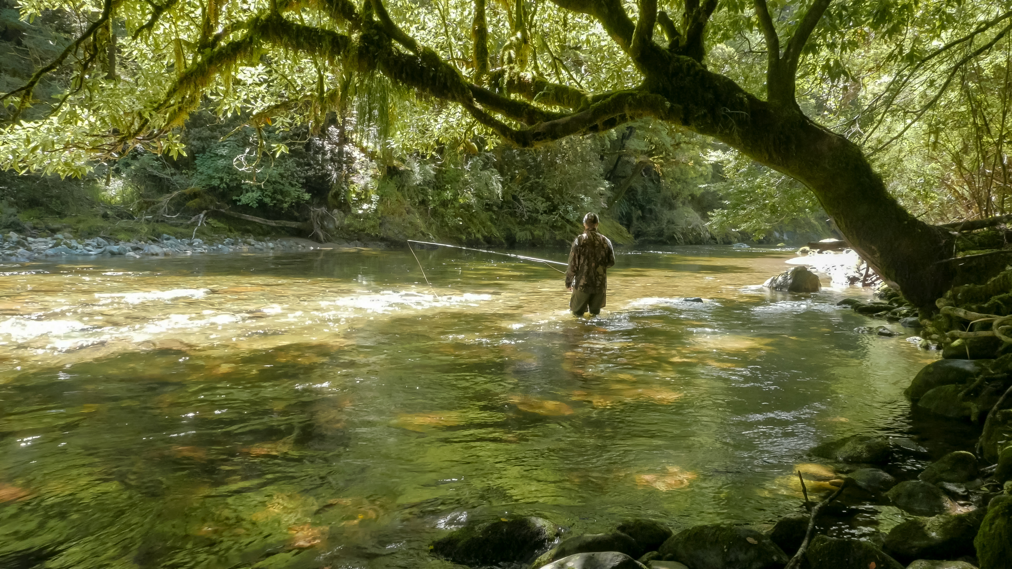 Fly fishing. PHOTO: GETTY IMAGES